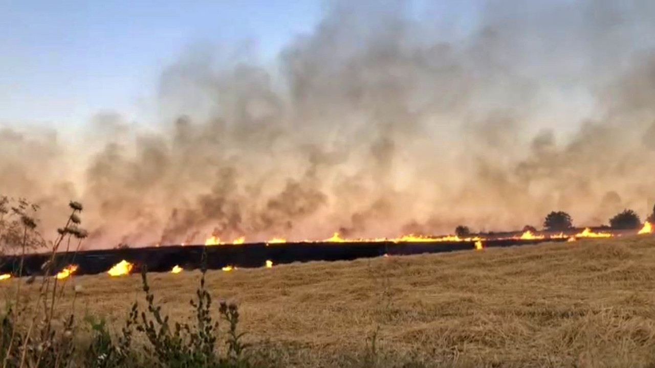 Türkiye'nin tarlaları yanmaya devam ediyor: 170 dönüm küle döndü!