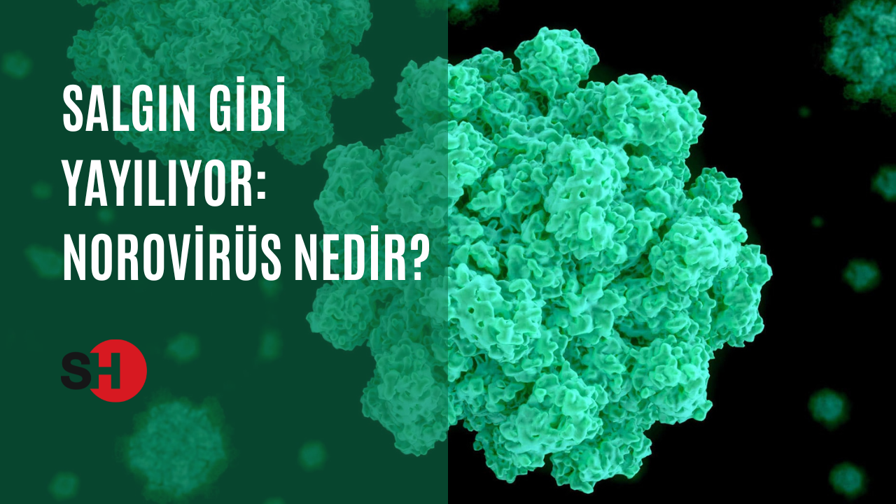 Salgın gibi yayılıyor! Son zamanlarda herkesin ortak derdi: Norovirüs nedir?