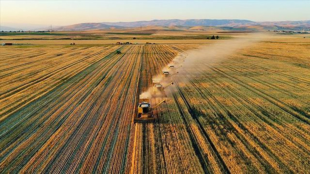 Türkiye buğday ithal ediyor diyenler bunu görmez: Tarımda ihracat rekoru