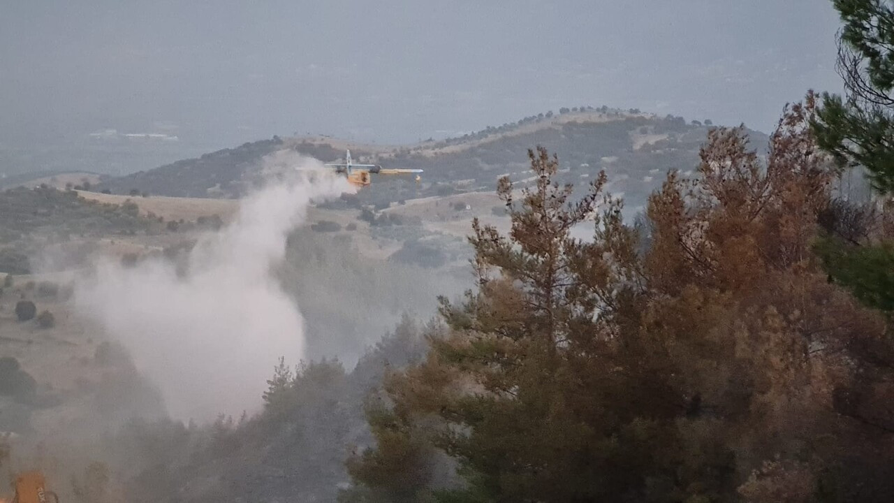 Aydın'da rüzgarın şiddetiyle kısa sürede büyüyen yangın kısmen kontrol altına alındı!