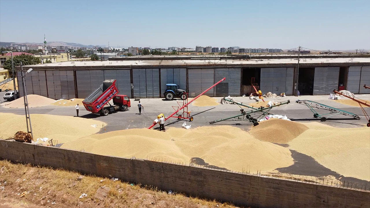 Yabancı şirketler yüksek fiyattan buğday mı aldı? Sosyal medyada çıkan iddiaya yanıt geldi