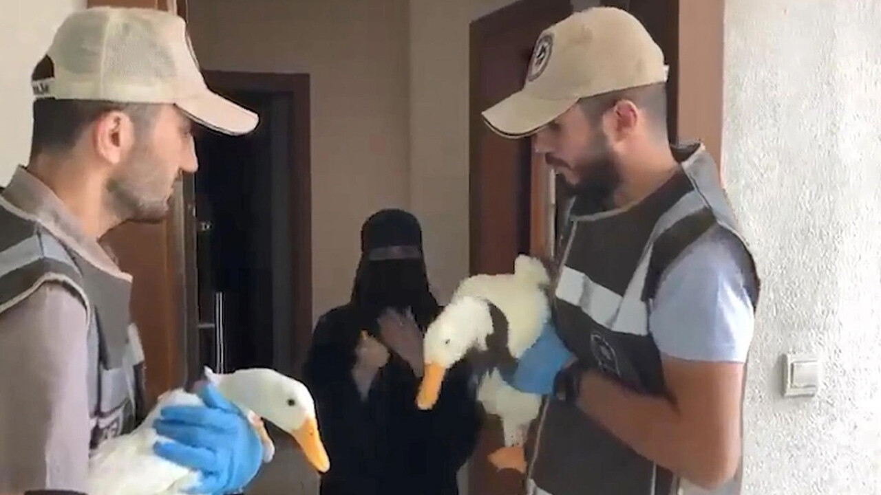 Başakşehir'i karıştıran ördeklere İçişleri Bakanlığı sahip çıktı! Artık koruma altındalar