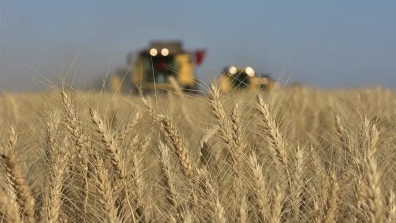 Rusya ile Türkiye arasında imzalanan anlaşma hemen sonuç verdi! Buğday fiyatı geriledi
