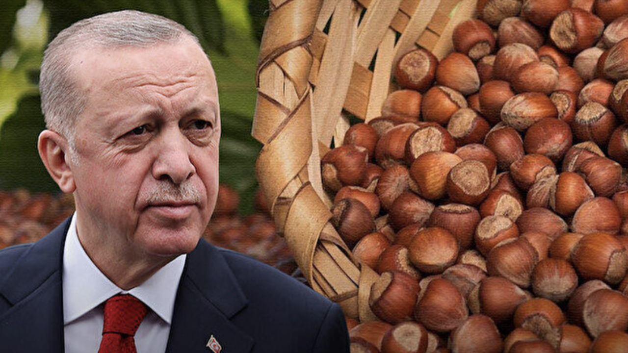 Cumhurbaşkanı Erdoğan açıkladı! 2022 fındık alım fiyatı 54 TL oldu