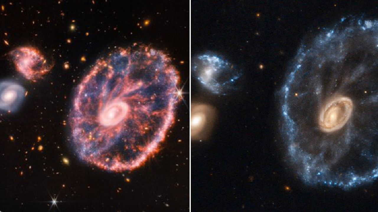 James Webb Teleskobu Cartwheel Galaksisi’ni görüntüledi, TUA'dan esprili paylaşım geldi