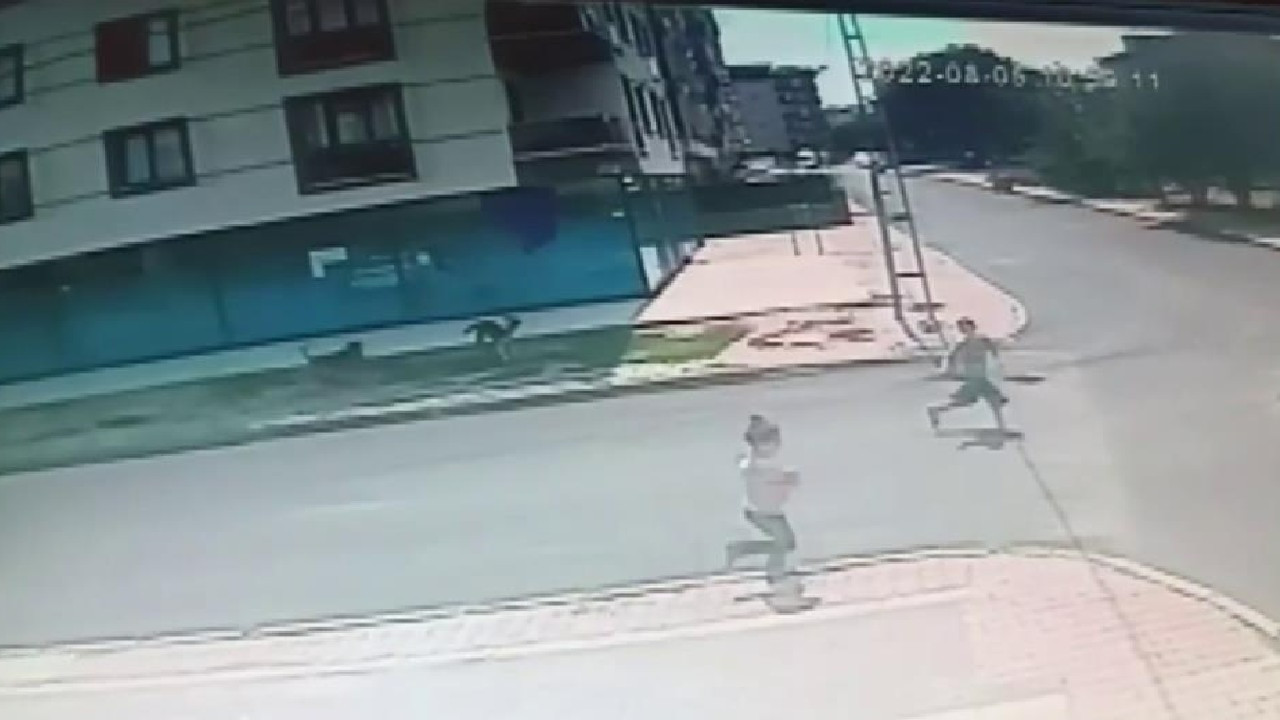 Sultanbeyli’de başıboş sokak köpeklerinin küçük çocuklara saldırısı kamerada