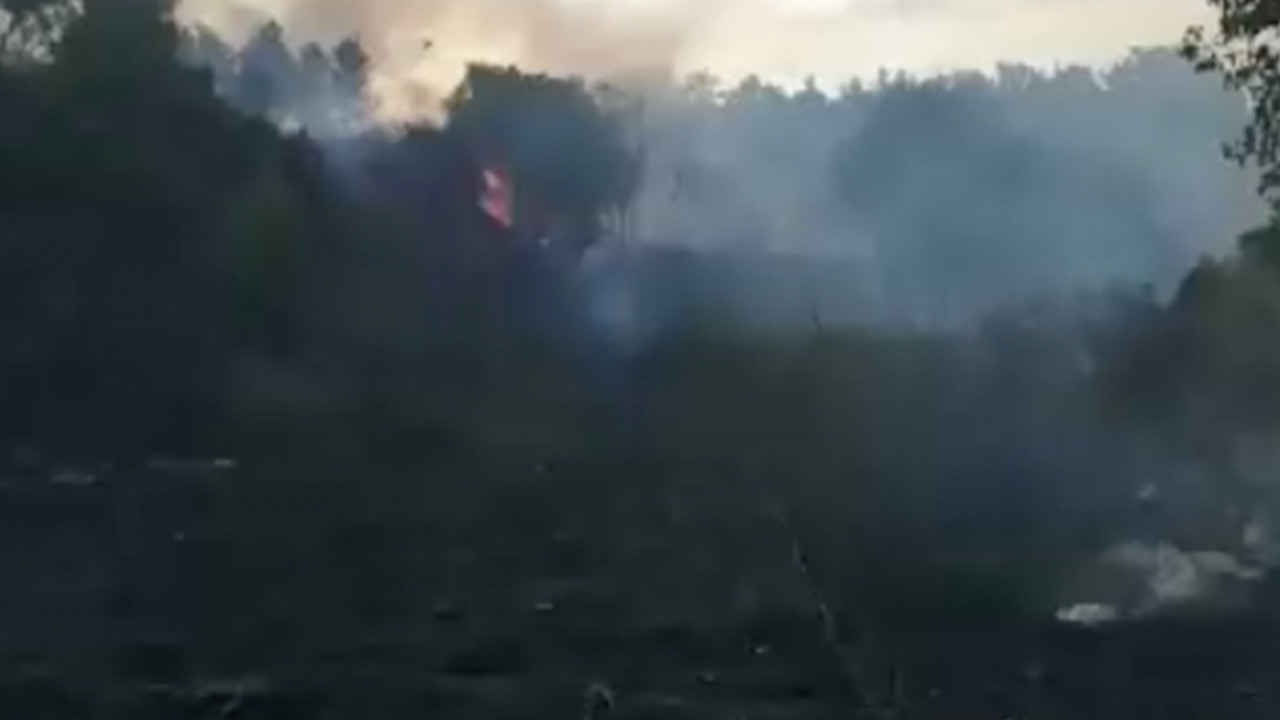 Tekirdağ'da orman yangını: Çok sayıda ekip müdahale ediyor