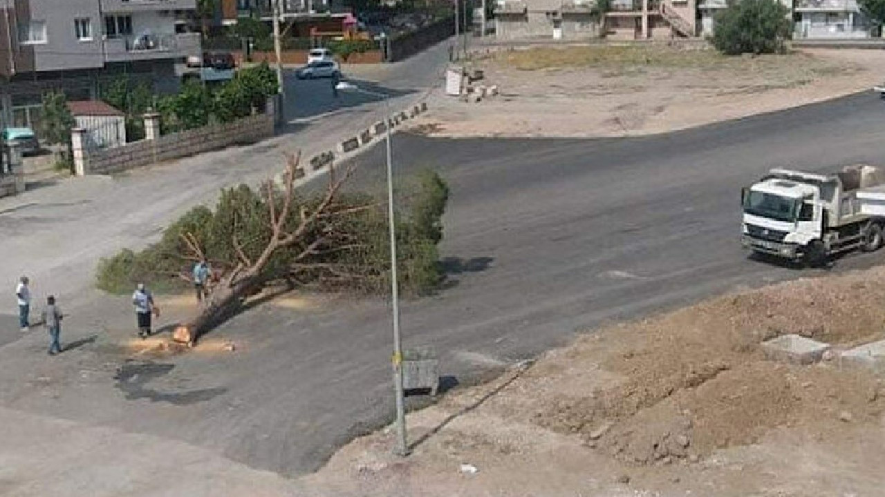 AK Parti'den İzmir Büyükşehir Belediyesine ağaç kesme tepkisi