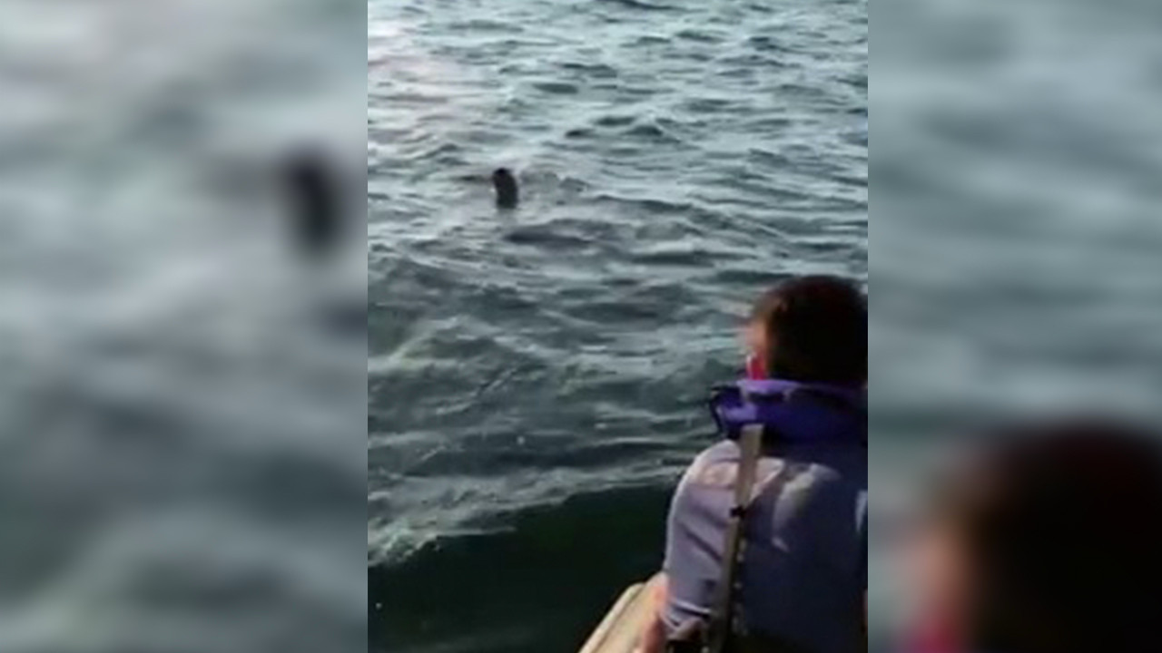 Polisten kaçmak için denize atladı ama dalgıçlar yakaladı