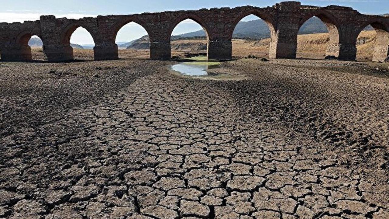 Avrupa'da kuraklık tehlikeli seviyeye ulaştı: Nehirler kuruyor, insan hayatı risk altında