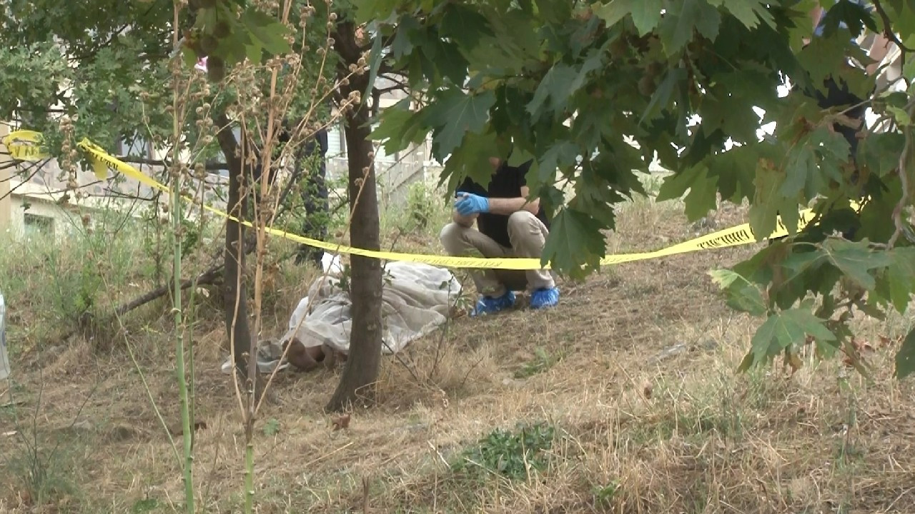 Üç çocuk annesi kadın, ağaçta asılı halde bulundu!