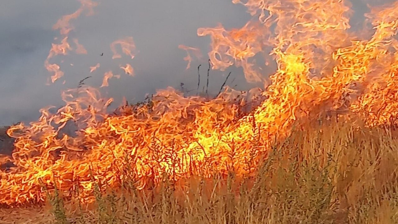 Van Gölü'ndeki Adır Adası'nda yıldırım düşmesi sonucu çıkan yangın bugün tekrar alevlendi