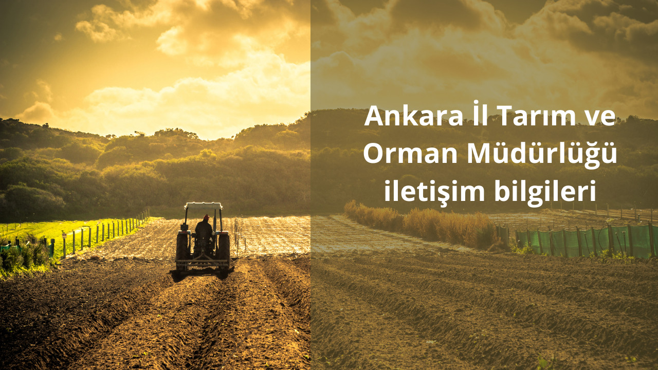 Ankara İl Tarım ve Orman Müdürlüğü iletişim bilgileri