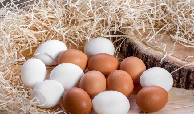 Tavuklar kanser ilaçlı yumurta veriyor...