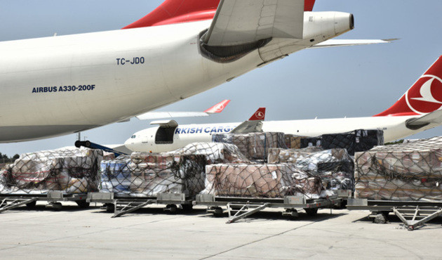 Turkish Cargo, ABD'den Türkiye'ye at taşıdı!