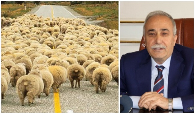 300 koyun ve maaş projesi ile ilgili Bakan Fakıbaba'dan flaş açıklama!