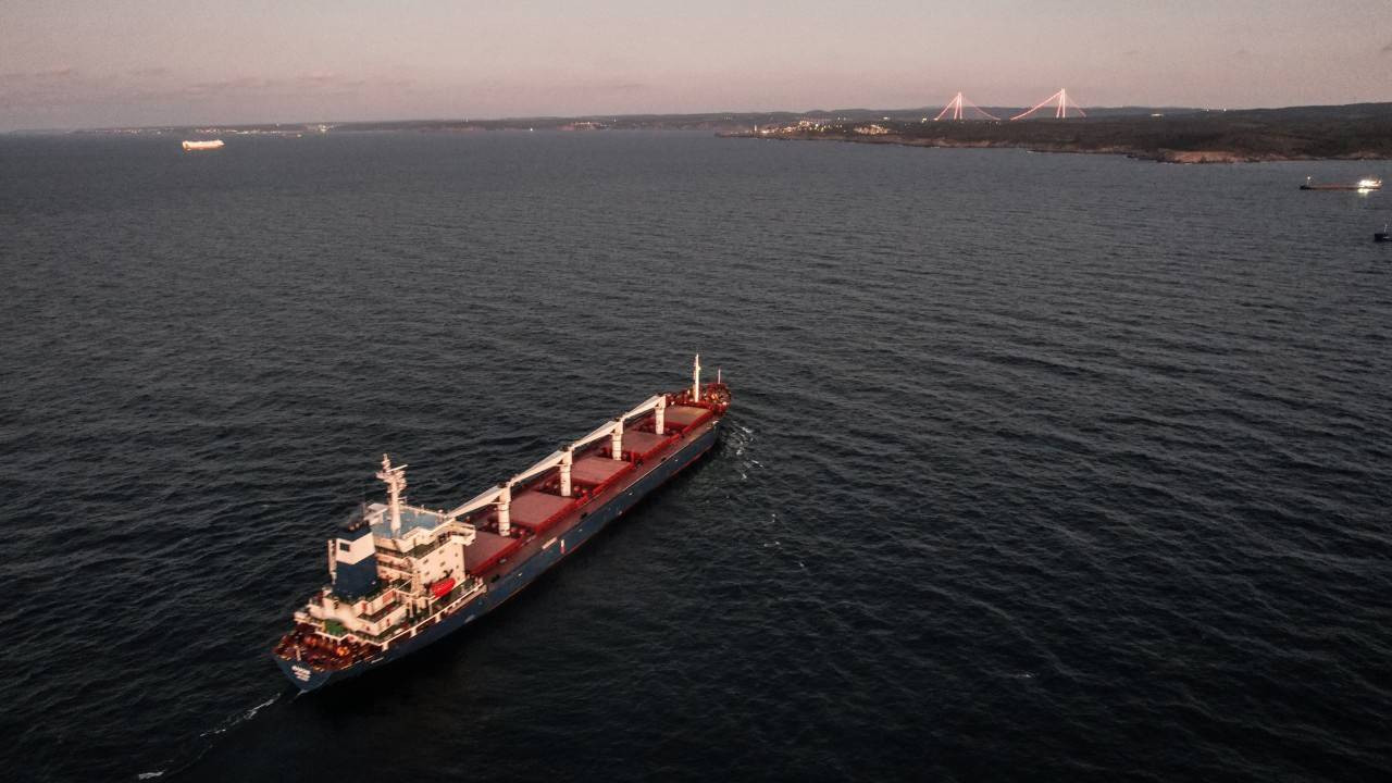 Tahıl sevkiyatı kapsamında 2 gemi daha Ukrayna'dan yola çıktı