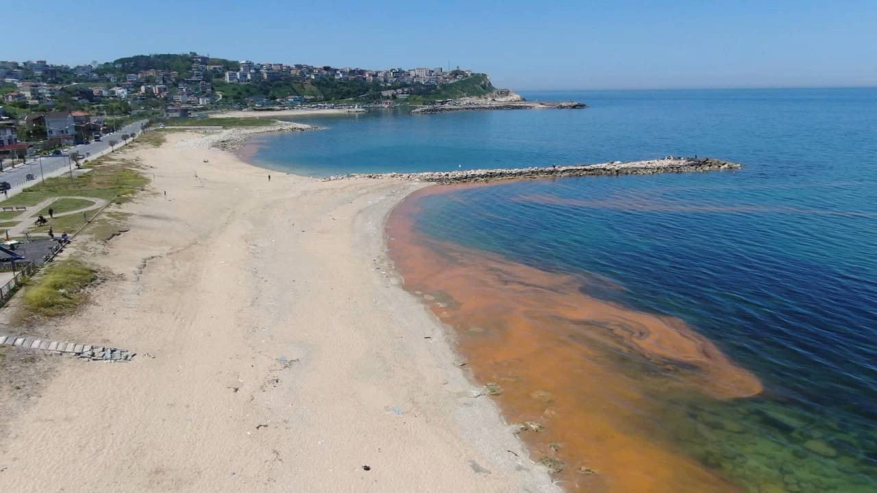 Karadeniz'deki renk değişiminin sırrı çözüldü